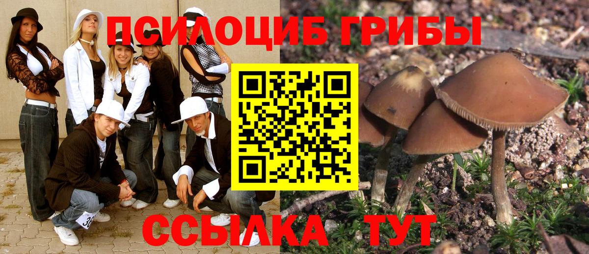 Псилоцибиновые грибы Magic Shrooms  Вход с VPN  Каспийск 